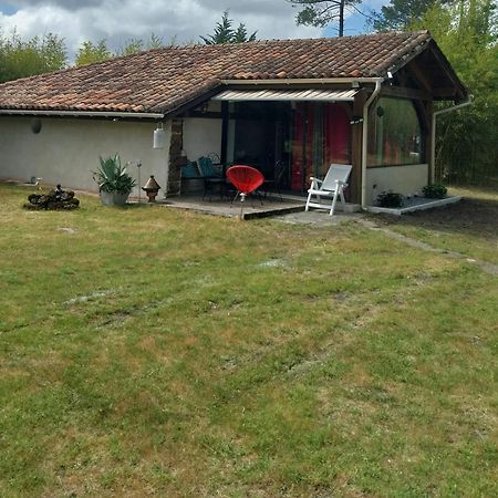 Maison Confortable Avec Terrasse En Bois Au Calme Sans Vis A Vis , 2 Chambres, Sur Un Parc De 4000M2 Arbore Et Clos Pissos Ngoại thất bức ảnh