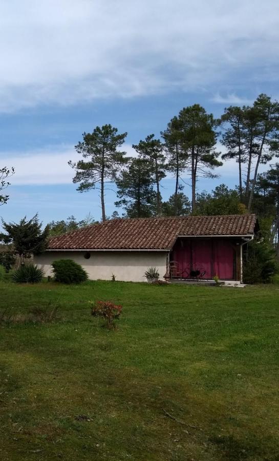 Maison Confortable Avec Terrasse En Bois Au Calme Sans Vis A Vis , 2 Chambres, Sur Un Parc De 4000M2 Arbore Et Clos Pissos Ngoại thất bức ảnh